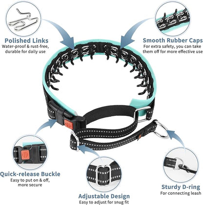 Mayerzon Martingale No Pull Collar for Small Medium Dogs, Patented Anti Pull Dog Collar with Buckle for Walking Training, with Neoprene Padding and Reflective Stitching, Adjustable(Teal Trim, S)