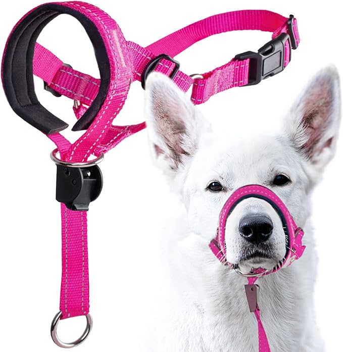 GoodBoy Dog Head Halter with Safety Strap - Stops Heavy Pulling On The Leash - Padded Headcollar for Small Medium and Large Dog Sizes - Head Collar Training Guide Included (Size 2, Pink Nylon)
