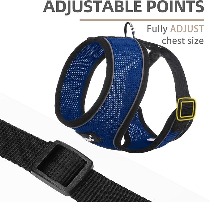 PUPTECK Soft Mesh Dog Harness and Leash Set Pet Puppy Cat Comfort Padded Vest No Pull Harnesses, Solid NavyBlue, M