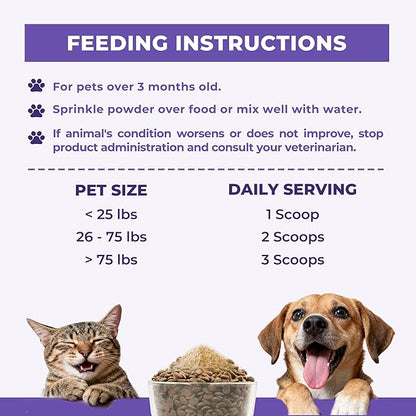 Wellix 7.05oz Lysine Powder for Cats & Dogs with Colostrum & Taurine for Dogs & Cats - Immune Support Supplement with Quercetin & Multivitamin for Respiratory Health, Coughing Treatment