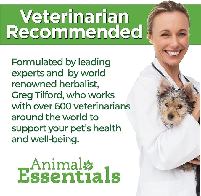 Animal Essentials Plant Enzyme & Probiotics - Probiotics & Digestive Enzymes for Dogs & Cats, Natural Daily Gut & Digestion Support Supplement for Pets, Plant Based - 3.5 Oz