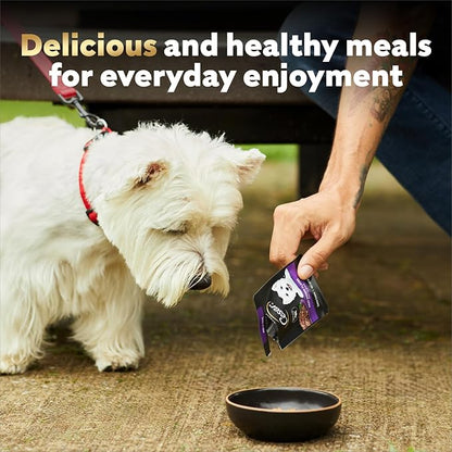 Cesar Filets in Gravy Wet Dog Food, Angus Beef Flavor, 1.76 oz. Mini-Pouch, 20 Count