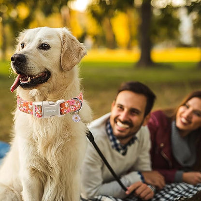 ARING PET Spring Summer Dog Collar, Cute Daisy Wildflower Floral Blossom Pet Collars for Small Medium Large Girl Dogs-S Size