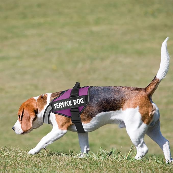 MUMUPET Service Dog Harness with 3M Reflective Safety, Easy Adjust & No-Pull Design - Breathable Nylon Handle for Small/Medium/Large Dogs