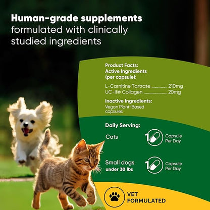 Rooted Owl Joint and Muscle Support for Cats and Small Dogs (Under 30 Lbs) - Supplement with UC-II Type II Collagen and L-Carnitine - 30 Count