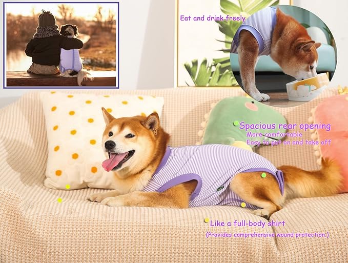 Dog Recovery Suit Purple Female Spay Surgical Small Shirt, Male Surgery Recovery Suit,Purple-White Striped S