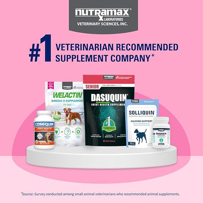 Nutramax Proviable Probiotics for Dogs, Daily Digestive Health Supplement with Multiple Strains of Bacteria, Dog Probiotics Plus Prebiotics, 60 Chewable Tablets,(Pack of 2)