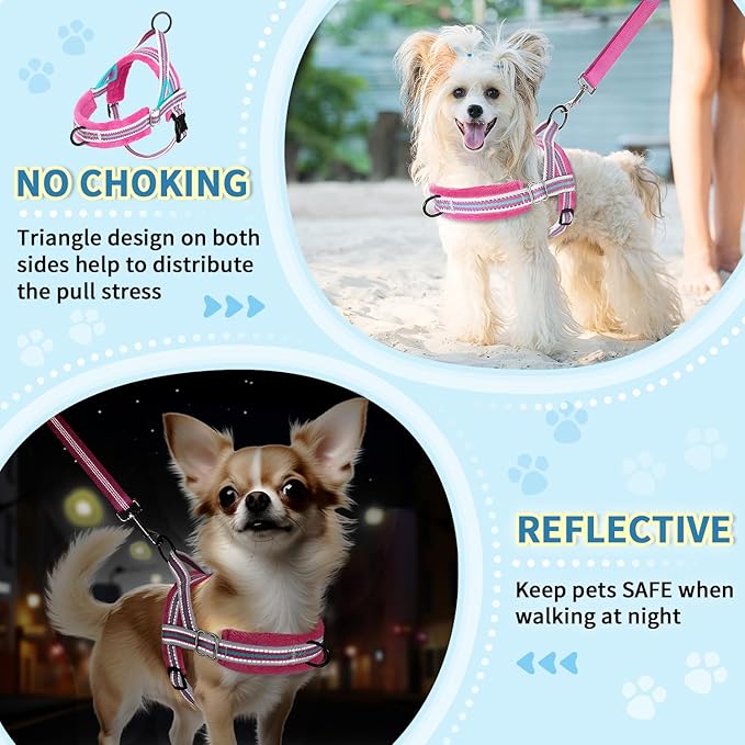 Lukovee No Pull Dog Harness and Leash Set, Soft Padded Small Dog Harness, Neck & Chest Adjustable Reflective Vest Puppy Harness with 4ft Lightweight Anti-Twist Dog Leash for Small Dogs (S, Fuschia)