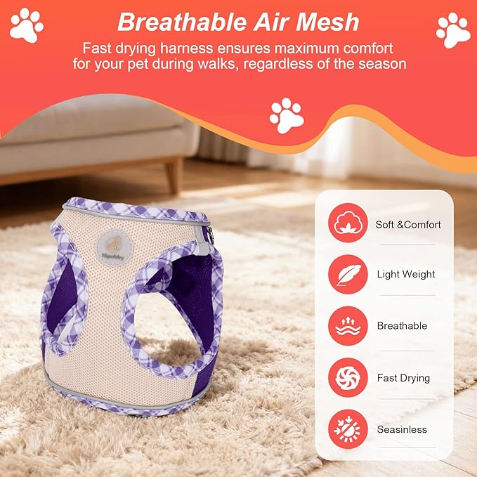 Hipubby Dog Harness Small Sized and Leash Set, No Pull Soft Mesh Puppy Vest, Reflective Breathable Lightweight Pet Harness, Harness for Small Medium Dogs and Cats - Purple/White Trim, XS