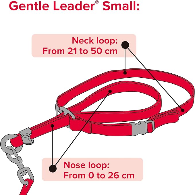 Beaphar | Gentle Leader | Head Collar for Small Dogs | Stops Pulling On The Lead | Training Aid with Immediate Effect | Endorsed by Behaviourists | Black x 1
