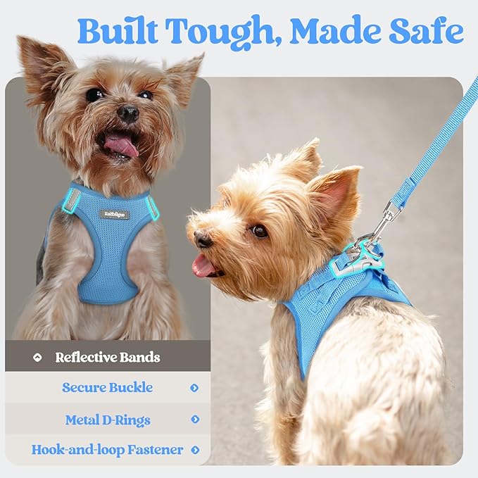 rabbitgoo Dog Harness Small Sized and Leash Set, Step in Soft Light Puppy Vest, Breathable Mesh Pet Harness, Reflective for Safe Easy Walking, Blue XS