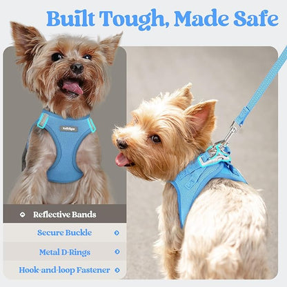 rabbitgoo Dog Harness Medium Sized and Leash Set, Step in Soft Light Puppy Vest, Breathable Mesh Pet Harness, Reflective for Safe Easy Walking, Blue XXL