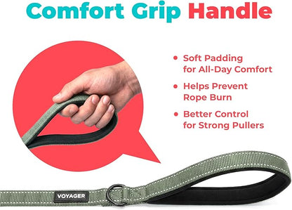 Best Pet Supplies Voyager Reflective Dog Leash or Collar with Neoprene Handle, for Small, Medium, and Large Breed Puppies, Cute and Heavy Duty for Walking, Running and Training - Moss Green (Leash), S