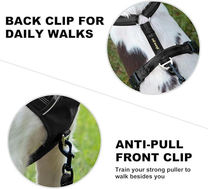 Plutus Pet No Pull Dog Harness, Reflective Adjustable Dog Vest Harness with Handle, Escape Proof, Soft Padded for Small Medium Large Dogs (Black, M)