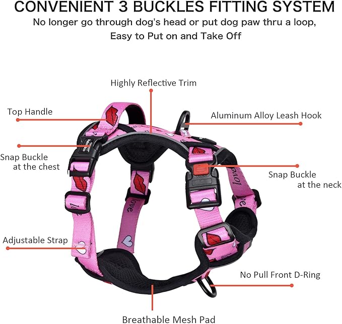 Petmolico No Pull Dog Harness Set with Leash Attachment Easy Control Handle Reflective Harness Vest Small Breed, Puppy Vest and Leash Set with Poop Bag Holder, Small - Red Lips