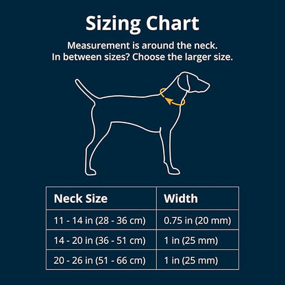 Ruffwear, Front Range Dog Collar, Adjustable Tubelok Webbing, Lightweight, Side Release Buckle, Aluminum V-Ring, Durable for Everyday Use, Coastal Fade, 14"-20"