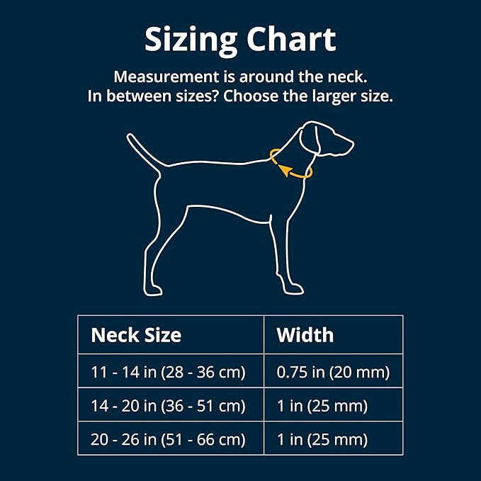 Ruffwear, Front Range Dog Collar, Adjustable Tubelok Webbing, Lightweight, Side Release Buckle, Aluminum V-Ring, Durable for Everyday Use, Basalt Gray, 20"-26"