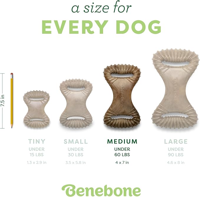 Benebone Dental Durable Dog Chew Toy for Aggressive Chewers, Real Chicken, Made in USA, Medium