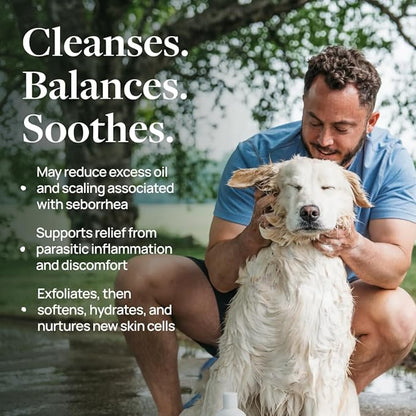 Veterinary Formula Clinical Care Antiparasitic & Antiseborrheic Medicated Dog Shampoo - Helps Support Healthy Skin and Coat, Soothes Flaky, Dry, Greasy Skin - 16 oz (Pack of 2)