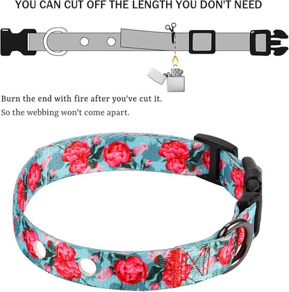 Rhea Rose 1 Inch Replacement Collar Strap Shock Collar with 2 Holes, Compatible with Nearly All Brands and Models of Underground Electric Dog Fences and Training Collars, Rose