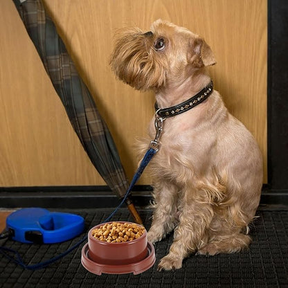 Plastic Pet Feeding Bowl and Water Dish, Brown Pp Dog Food Holder, Indoor Single Round Pet Feeder Bowl for Puppies and Dogs