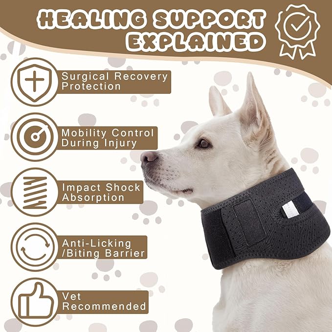 Adjustable Dog Neck Brace Offers Support for Pets Neck Pain Injury Relief Soft Support Cervical Vertebral Sprains and Instability Brace Collar for Dogs (M)