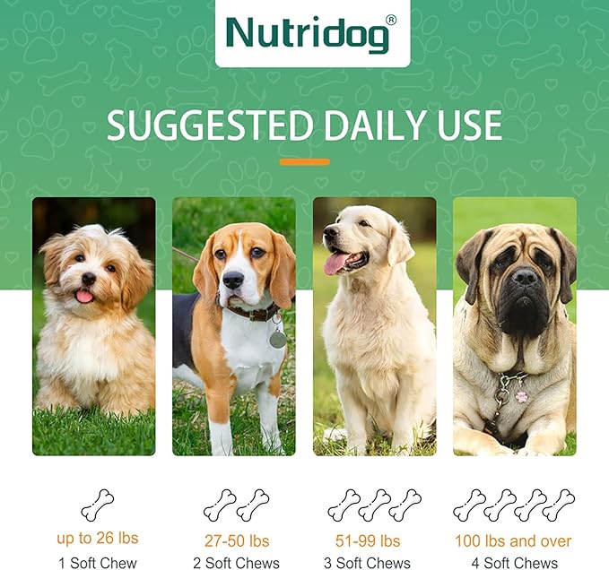 Dog Allergy Chews 120 Count - Salmon Flavor Allergy & Itch Relief with Quercetin, 300M Probiotics | Immune Support for Itchy Skin, Hot Spots & Seasonal Allergies