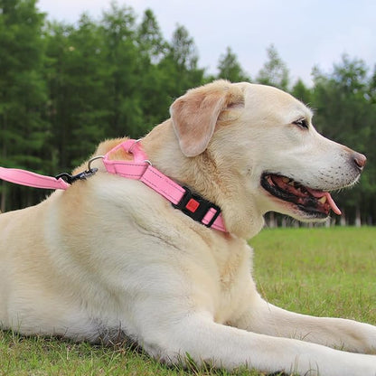 Joytale Martingale Collar for Dogs, Reflective Heavy Duty for Safety, Quick Release Buckle, Adjustable Nylon Collars for Medium Dogs Walking Training, Pink, M