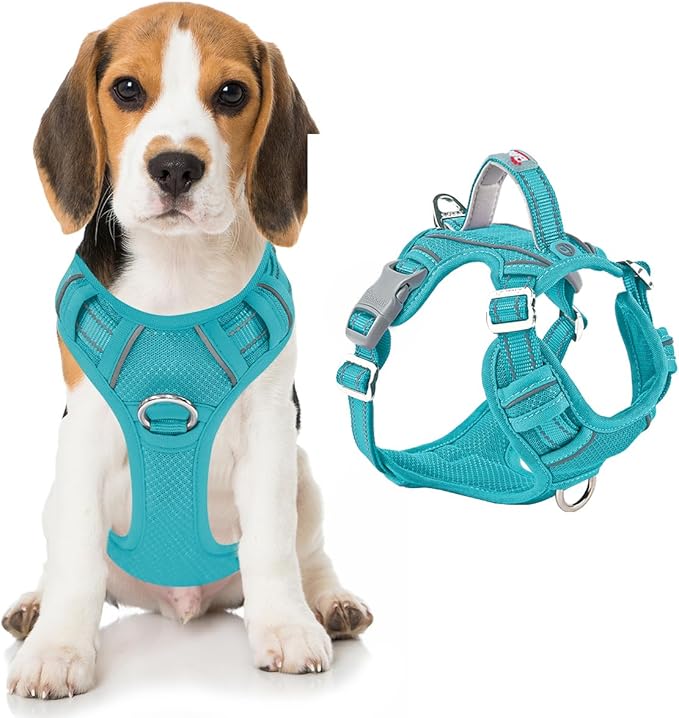 BARKBAY Dog Harness No Pull with ID Tag Pocket - Heavy Duty, Reflective, Easy Control for Large Dogs(Ocean Blue,M)