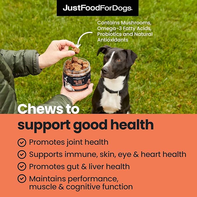 JustFoodForDogs 10-in-1 Supplement for Dogs, Human Grade Dog Supplements, Multivitamin Soft Chews, Immune, Skin and Joint Support, Omega 3 Oil, Superfood Blend, Plant Based Dog Vitamins - 45 Count