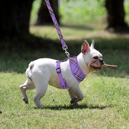 PUPTECK Soft Mesh Dog Harness and Leash Set Pet Puppy Cat Comfort Padded Vest No Pull Harnesses, Purple, M
