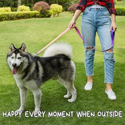Roses&Poetry Reflective Small Dog Collar and Leash Set, Puppy Leashes with Collars, Adjustable Durable Matching Nylon Pet Collar Leash for Walking,Playing,Training (Azure-XS)
