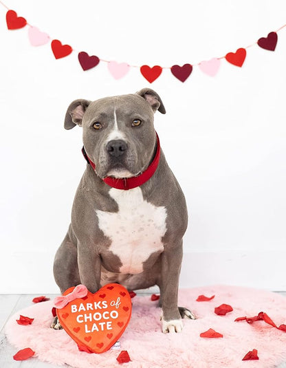 Pearhead Valentine’s Day Plush Dog Toy – Barks of Chocolate Box Squeaky & Crinkle Stuffed Dog Toy, Interactive for Dogs