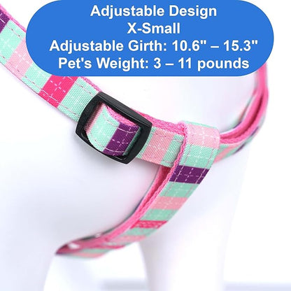 Pawtitas Multicolor Step-in Dog Harness – Adjustable No-Pull Vest for Puppies to Seniors, Safe & Comfortable XS Teal/Pink/Purple