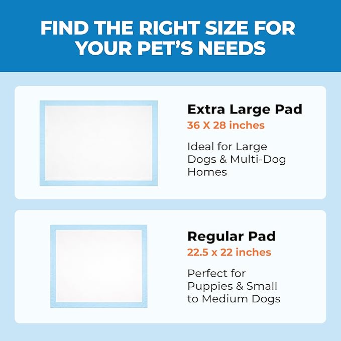 Best Pet Supplies Puppy Pads (22.5 x 22 Inches) - Disposable, Dog Training Potty, Super Absorbent Baby Blue Puppy Pee Pads for Dogs (300 Count)