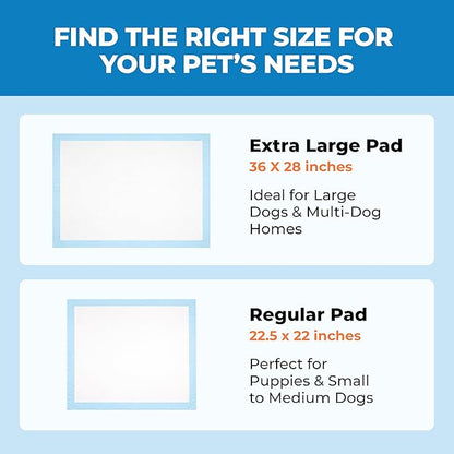 Best Pet Supplies XL (36 x 28 Inches) Puppy Pads 40 Count - Super Absorbent Dog Training Pads, Quick-Dry, Odor Control, Disposable Pee Pads, Leak-Proof Wee Wee Pads for Indoor Dogs – Baby Blue