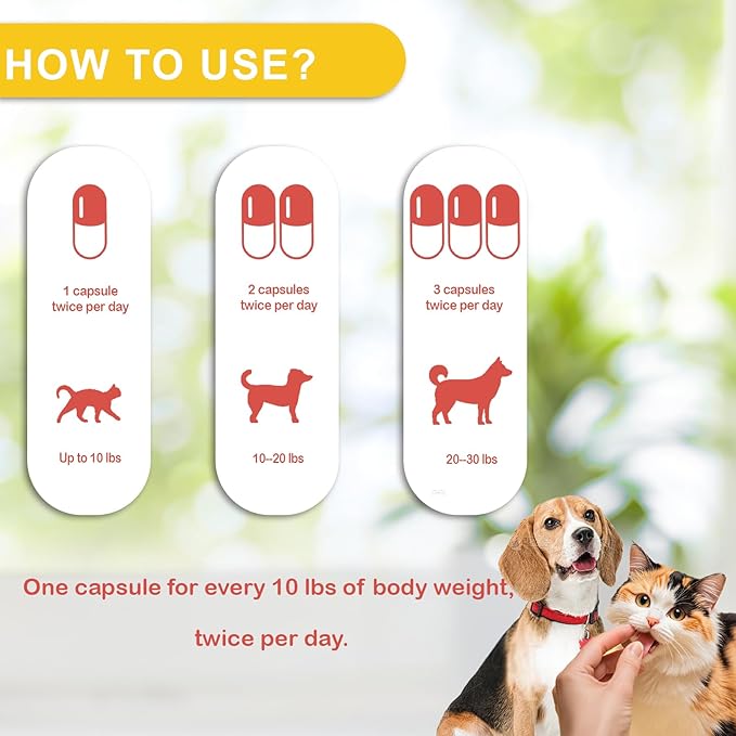 Immune Defense Supplement for Dogs & Cats – Natural Dog Cancer Treatment & Lipoma Supplement – Critical Immune Support for Lumps, Bumps, Tumor Reduction, and Cancer Symptom Relief
