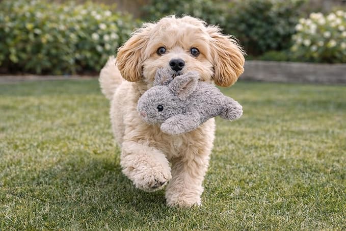 Multipet Small Rabbit Dog Toy w/Squeaker | Thumperz Dog Toy | Stuffed Bunny Toy for Dogs | Plush Squeaker Bunnies Dogs Toy | Small/Medium Breed | Gray | 6"
