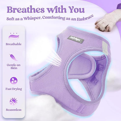 rabbitgoo Dog Harness Small Medium Sized and Leash Set, Step in Soft Light Puppy Vest, Breathable Mesh Pet Harness, Reflective for Safe Easy Walking, Light Purple XL