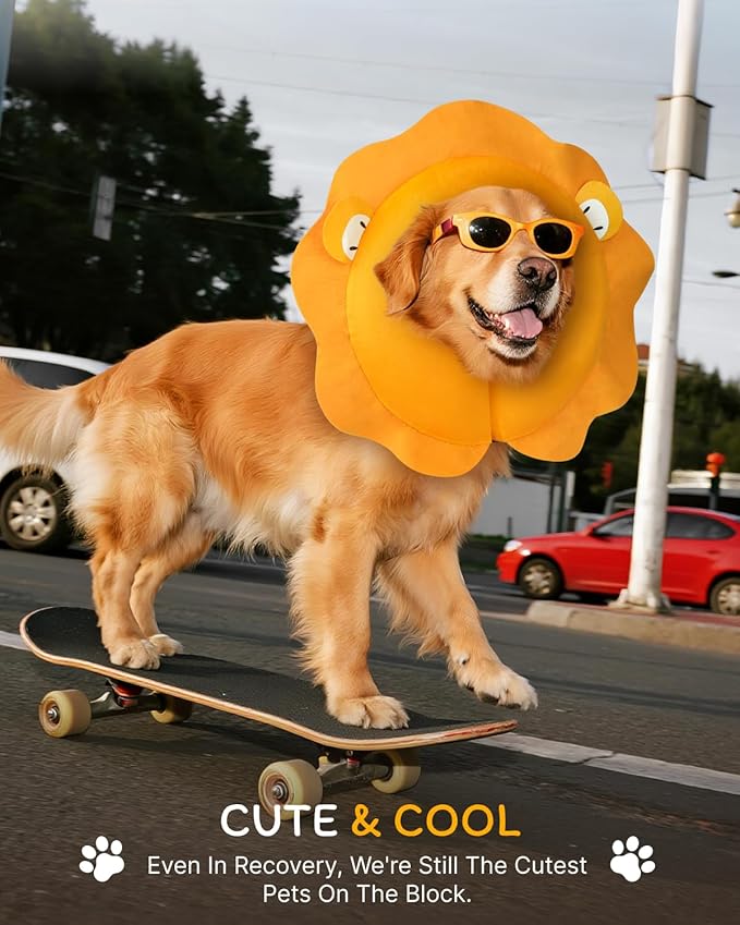 MIDOG Inflatable Dog Cone Collar, Lion Mane Soft Dog Cone Alternative After Surgery with 40% Extra Protection Area Anti-Lick, Adjustable Donut Recovery Collar for Large Medium Small Dogs (Lion, XS)
