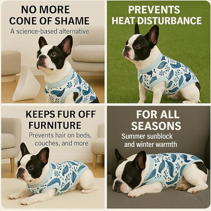 PetWarm Dog Surgery Suit, Cone of Shame Alternatives, Anti-Licking Surgical Recovery Pajamas for Dogs, Female Male Onesie for Dogs Spay Neuter, Dog Recovery Suit, Marine Animal Patterns, Blue, M