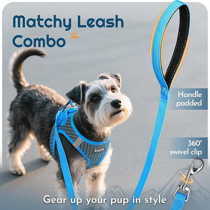 Eagloo Small Dog Harness and Leash Set, Step in Puppy Vest with Breathable Soft Mesh, Walking Reflective Pet Harness for Medium Small Dogs, Blue, M
