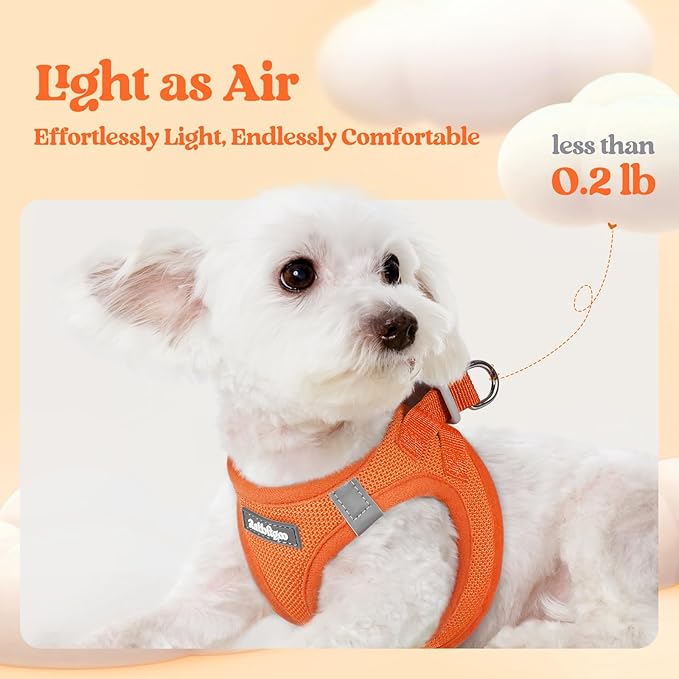 rabbitgoo Dog Harness Small Medium Sized and Leash Set, Step in Soft Light Puppy Vest, Breathable Mesh Pet Harness, Reflective for Safe Easy Walking, Orange L