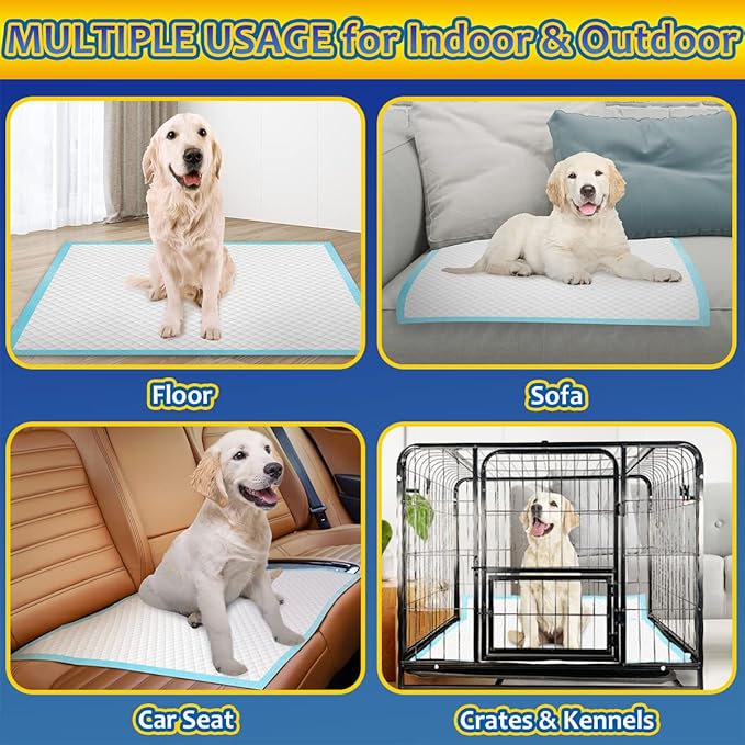 Dog Pee Pads Extra Large 80 Count, Thicken Dog Training Pads 30"x36", Puppy Pee Sheets XL for Indoor, Outdoor Use, Heavy Absorbent Disposable Underpads, Blue