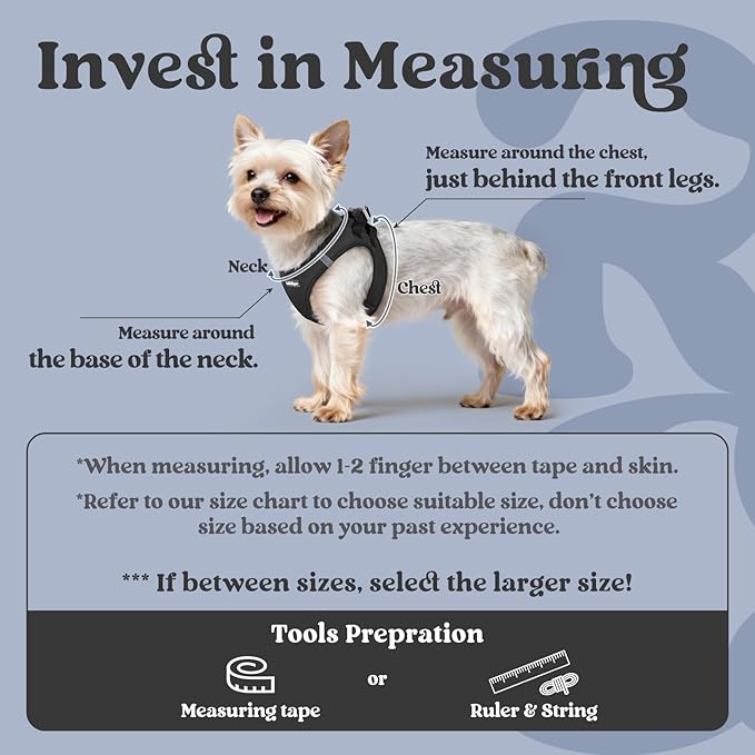 rabbitgoo Small Dog Harness, Step-in Soft Mesh Puppy Vest with Safety Buckle, Breathable Reflective Pet Harness for Small Medium Dogs, Black L