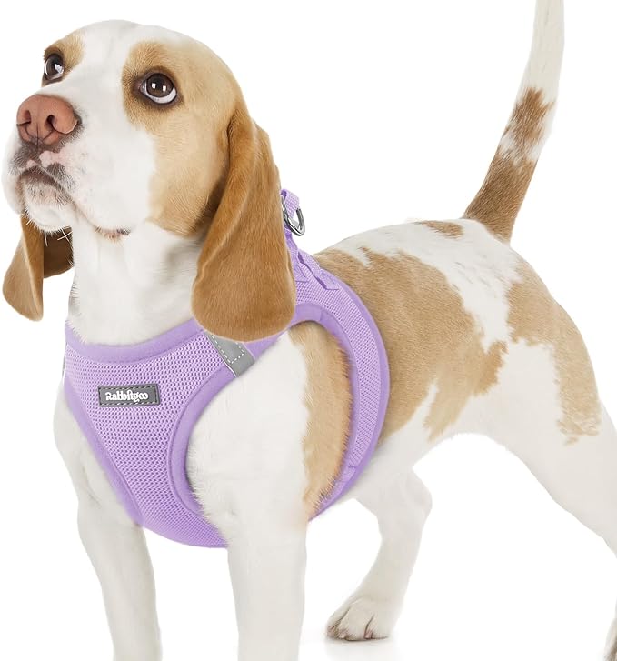 rabbitgoo Small Dog Harness, Step-in Soft Mesh Puppy Vest with Safety Buckle, Breathable Reflective Pet Harness for Small Sized Dogs, Light Purple M