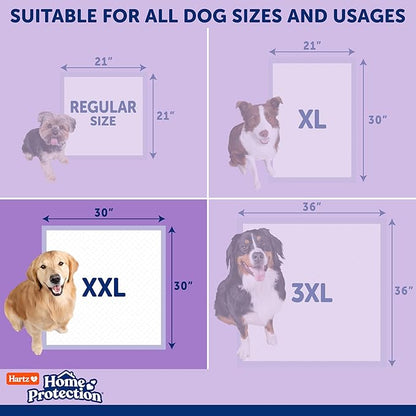 Hartz Home Protection Super Absorbent Odor Eliminating Lavender Scented No Leak Dog Pads, XXL 20 count