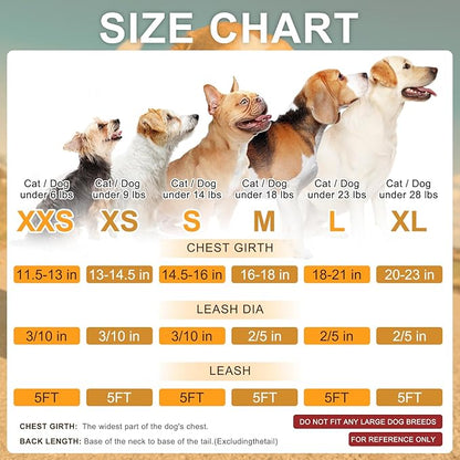 BEAUTYZOO Small Dog Harness and Leash Set,Step in No Choke No Pull Soft Mesh Dog Harnesses Reflective for Extra-Small/Small Medium Puppy Dogs and Cats, Plaid Dog Vest Harness for XS S Pets, Blue XXS