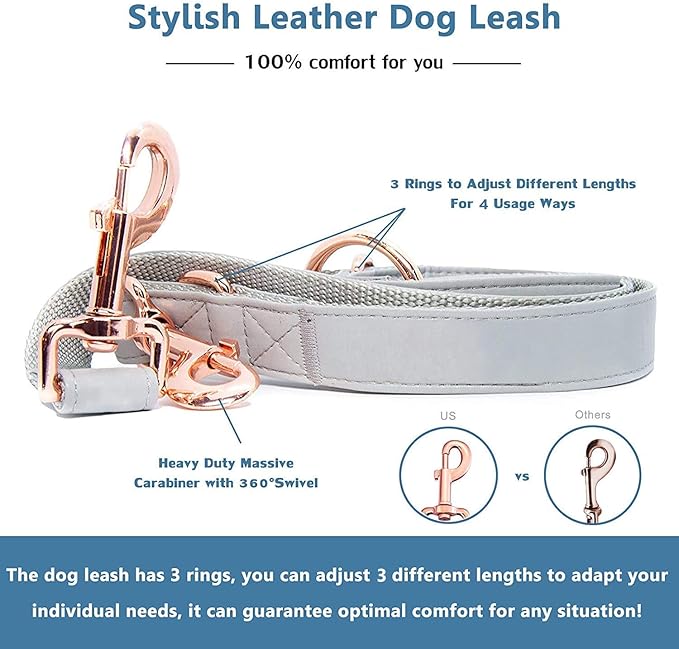Soft Leather Dog Collar and Leash (6.6') Set - Stylish Rose Gold Heavy Duty Metal Buckle, 4 Adjustable Lengths Leash for Small Medium Large Dogs - Comfortable & Easy to Clean Grey S(12.2"-16.9")