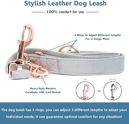 Soft Leather Dog Collar and Leash (6.6') Set - Stylish Rose Gold Heavy Duty Metal Buckle, 4 Adjustable Lengths Leash for Small Medium Large Dogs - Comfortable & Easy to Clean Grey S(12.2"-16.9")